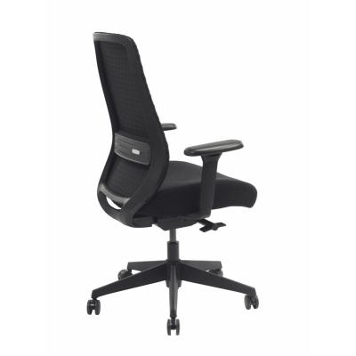 fauteuil_ref_040012s_dos
