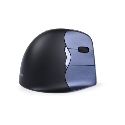 Ref 111037B souris evoluent 4 w