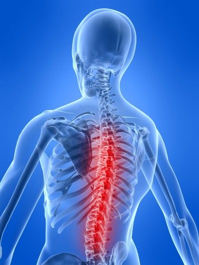 Troubles Musculo-Squelettiques (TMS) : lombalgie, scoliose, hernies discales et dorsales, hernies cervicales...