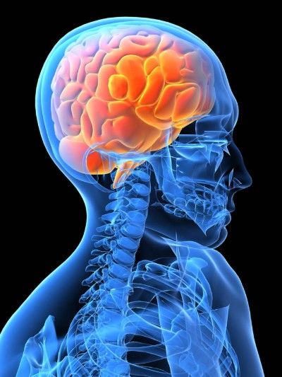 Troubles Musculo-Squelettiques (TMS) : migraines, névralgies, fatigues oculaires...